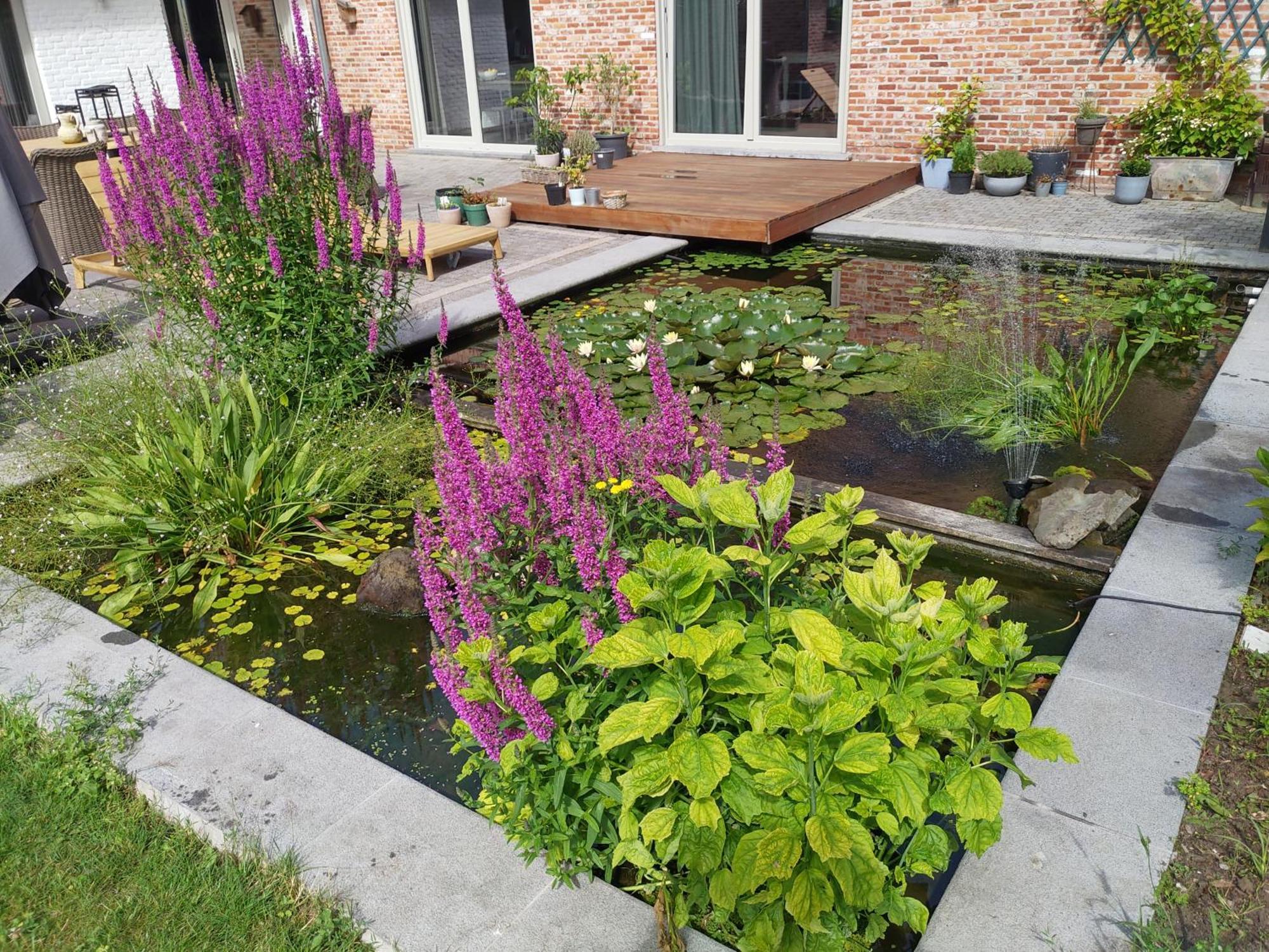 Hertsberge The Two Oaks - Private Garden For Guests 빌라 외부 사진