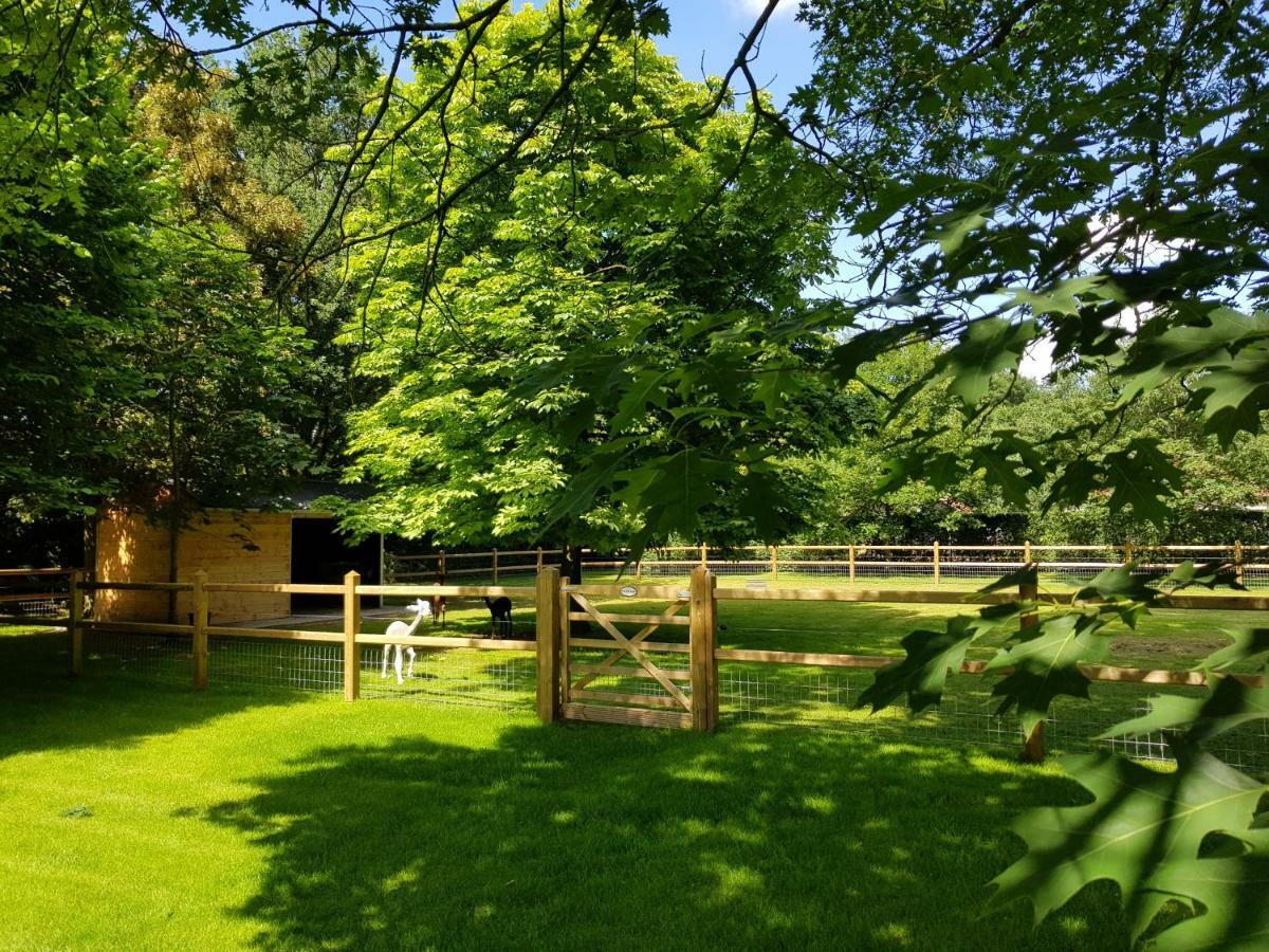 Hertsberge The Two Oaks - Private Garden For Guests 빌라 외부 사진