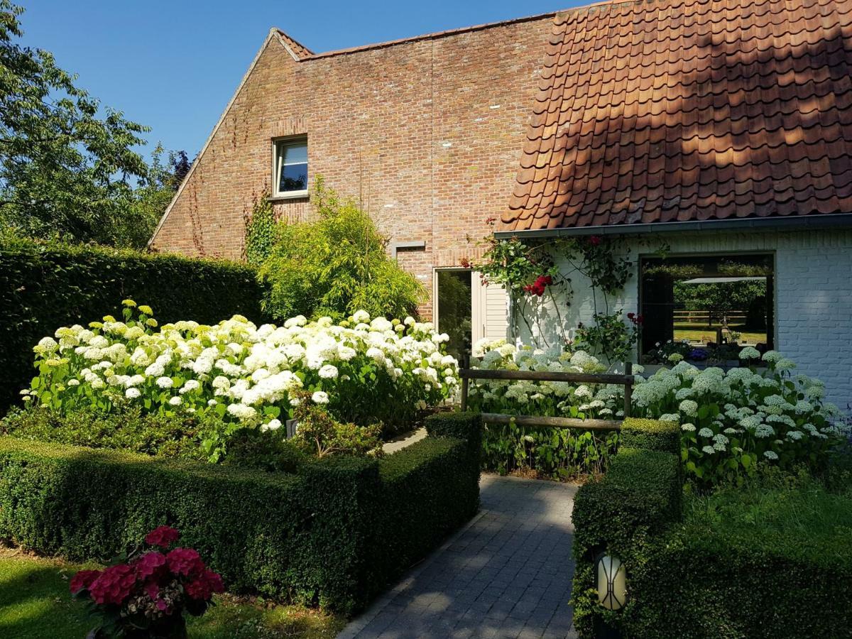 Hertsberge The Two Oaks - Private Garden For Guests 빌라 외부 사진