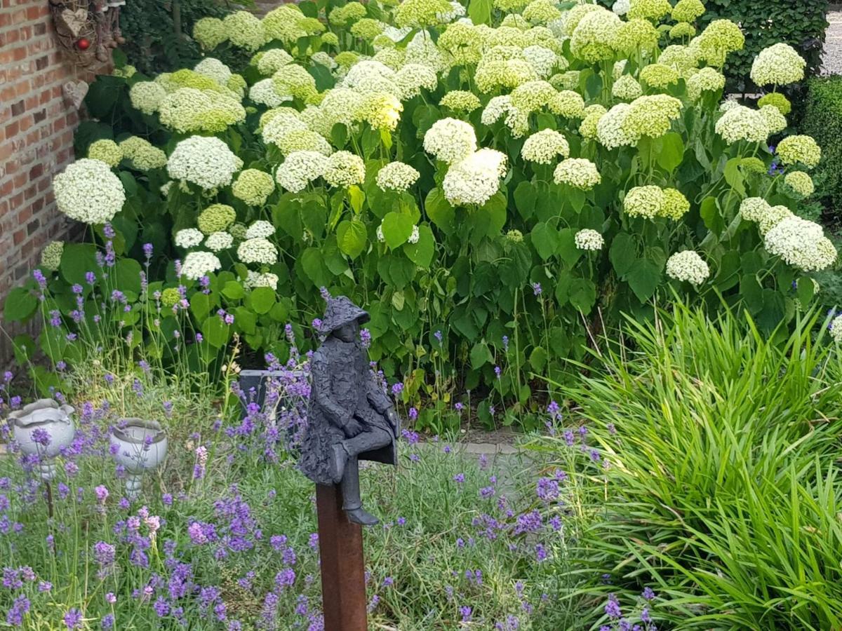 Hertsberge The Two Oaks - Private Garden For Guests 빌라 외부 사진